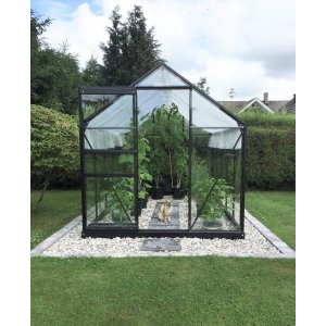 Växthus Neptunus - 6,2 m² - Härdat glas + Kanalplast tak + Bevattningstillbehör