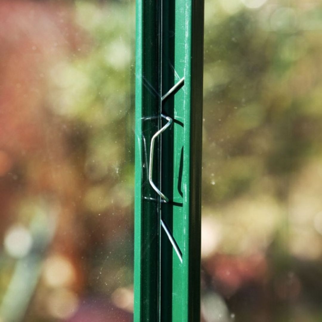 Glasningsfjäder för växthus Juliana - Växthustillbehör 15-pack